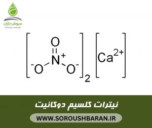 نیترات کلسیم دوکانیت - سروش باران